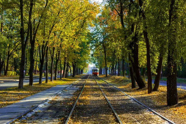 Czerwony tramwaj w alei Las — Zdjęcie stockowe