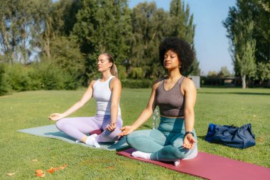 Nilüfer pozisyonunda meditasyon yapan kadınlar dışarıda yoga yapıyorlar.