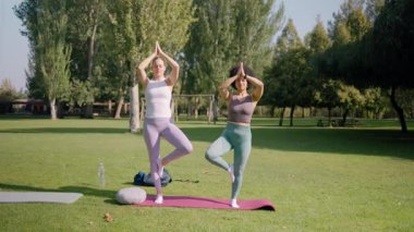 Dışarıda yoga yapan kadınlar sağlık için uzanıyorlar.