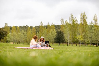 Lezbiyen çift köpekleriyle parkta piknik yapıyor.