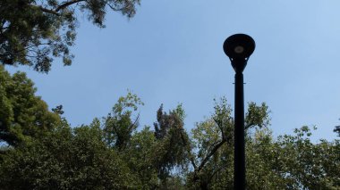 Arka planda ağaçlar ve mavi gökyüzü arasındaki sokak lambası