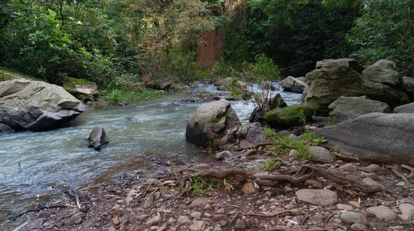 Small Stream Water Running Rocks Vegetation — Stock Photo, Image