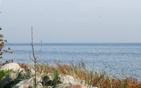 Plage Dans Côte Rzucewo Près Baie — Photo