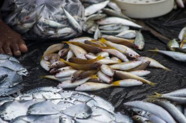 Çeşitli balıklar yerel balık pazarında satılıyor.
