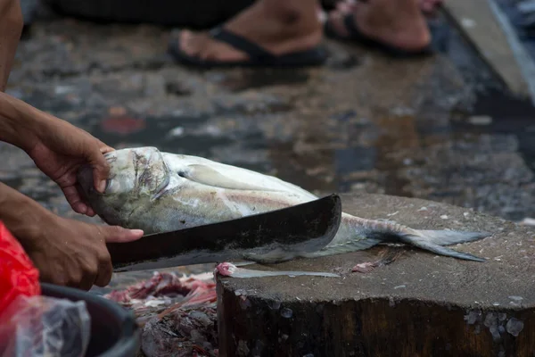 Los Peces Surtidos Que Venden Mercado Local Pescado — Foto de Stock