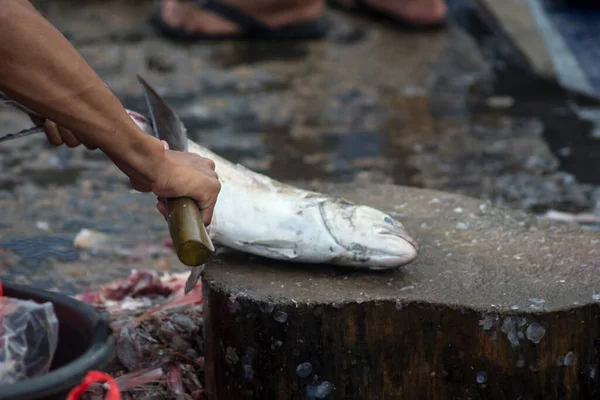 The assorted fishes sold in the local fish market