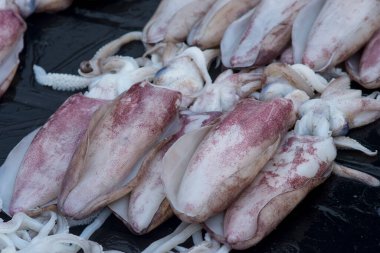 Çeşitli balıklar yerel balık pazarında satılıyor.