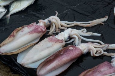 Çeşitli balıklar yerel balık pazarında satılıyor.