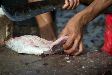 Çeşitli balıklar yerel balık pazarında satılıyor.