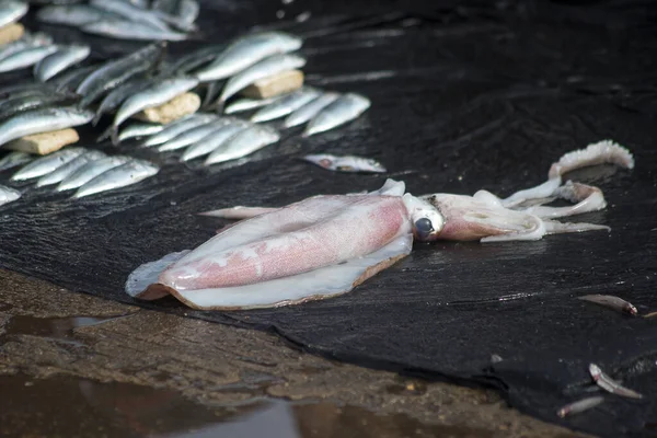 Die Verschiedenen Fische Die Auf Dem Lokalen Fischmarkt Verkauft Werden — Stockfoto