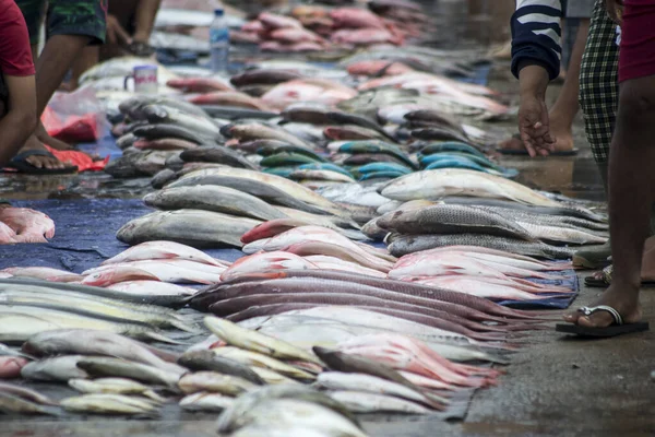 Çeşitli balıklar yerel balık pazarında satılıyor.