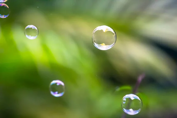 Bolle Acqua Galleggianti Cadenti Foglie Verdi — Foto Stock