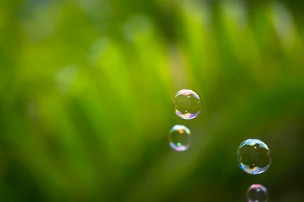 Bolhas Água Flutuando Caindo Folhas Verdes — Fotografia de Stock