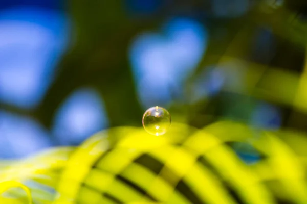 Water Bubbles Floating Falling Green Leaves — Stock Photo, Image
