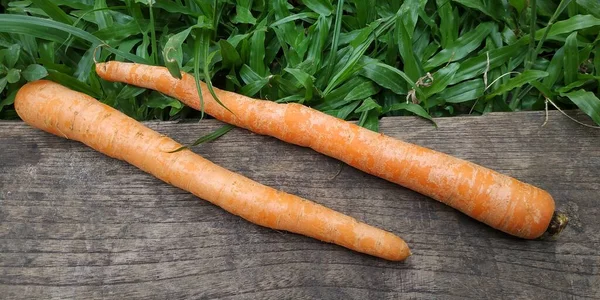 two carrots on wood and grass