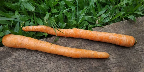 two carrots on wood and grass