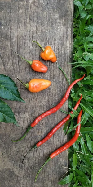 red chilies on a wood and grass background