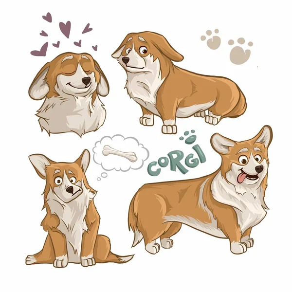 Set Cartoon Vector Corgi Dog Different Poses Emotions Symbols Inscription — Wektor stockowy