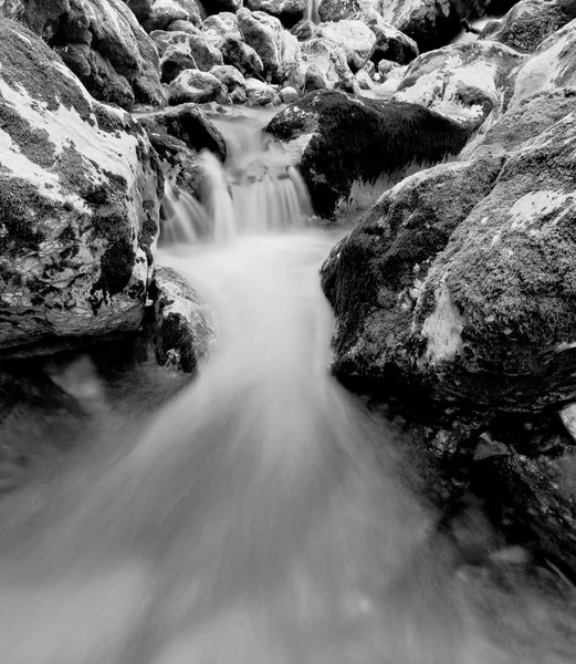 Stream dans les Alpes Noir et Blanc — Photo