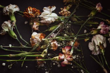 Değişik renklerde solmuş karanfiller sade siyah arka planda rastgele dağılmış.