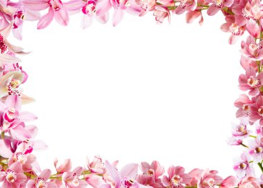 Çerçeve çiçeklerden yapılmış. Kopya alanı olan sevimli orkideler