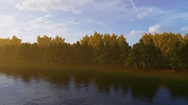 Sonbaharda Orman Nehir Boyunca Gün Batımı Zamanı — Stok video