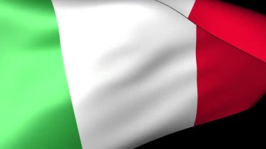  İtalya Bayrak Dalgası, Devlet amblemi