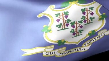 Connecticut devlet bayrak sallayarak
