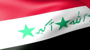  Lithuania Flag Waving, state's insignia