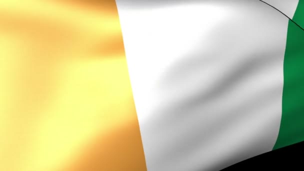 Ivory Coast Flag Waving — Stock Video