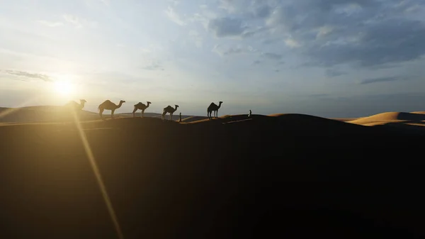 Арабский Человек Верблюды Пустыне Против Красивого Солнца — стоковое фото