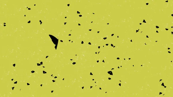 Sarı arka planda kelebek siluetleri