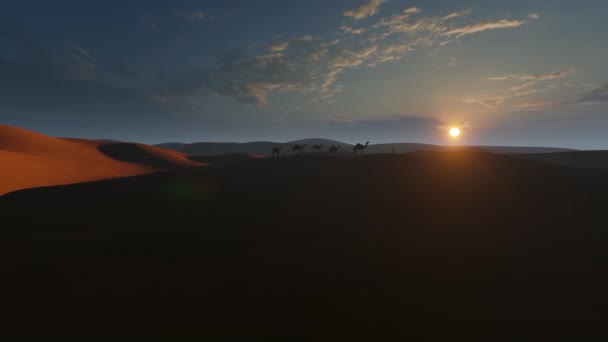 砂漠の砂丘とラクダが日没に向かってシルエットになっている — ストック動画