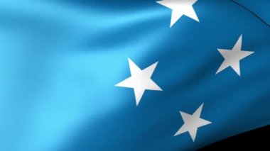 Mikronezya Bayrak Dalgalanması, Eyalet amblemi