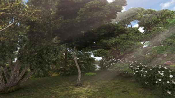 白い花や木のある日本庭園 太陽の光が突破 — ストック動画