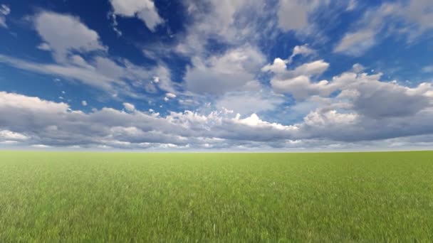 Greenfield Com Grama Céu Azul Com Nuvens — Vídeo de Stock