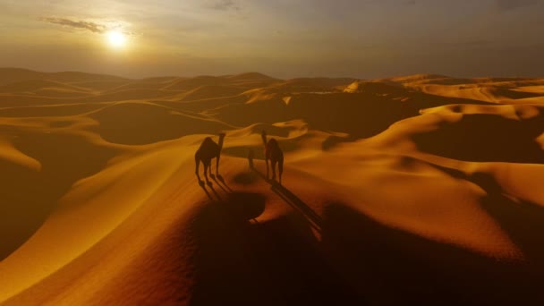 Uomo Con Cammelli Che Affacciano Sulle Dune Sabbia Oasi — Video Stock