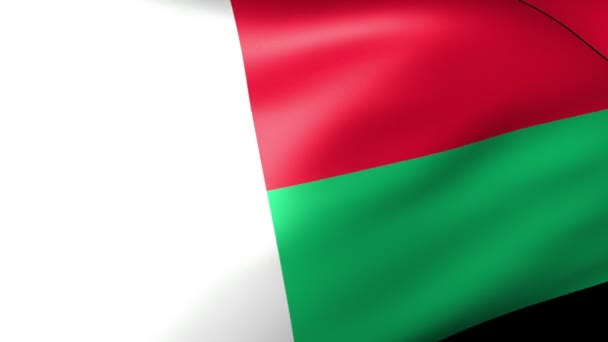Madagascar Flag Waving State Insignia — Stock Video