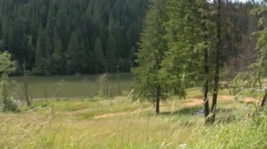 göl ve orman Dağları