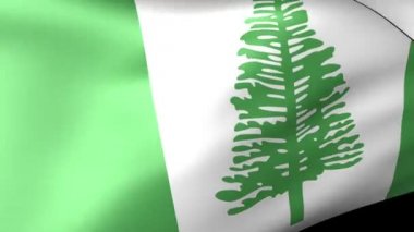 Norfolk bayrak sallayarak