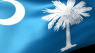 Güney Carolina devlet bayrak sallayarak