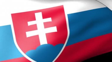 Slovakya bayrağı sallayarak
