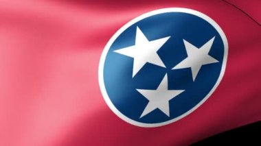 Tennessee Devlet bayrak sallayarak