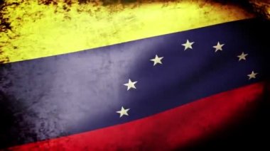 venezuela bayrak sallayarak