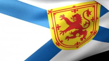 Nova Scotia bayrak sallayarak