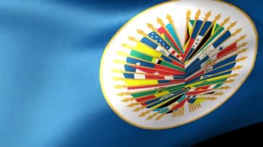 Amerikan Devletleri bayrak sallayarak organizasyonu