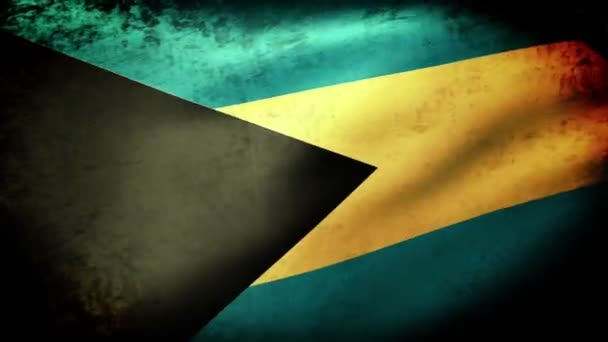 Bahamas Flagge schwenkend — Stockvideo