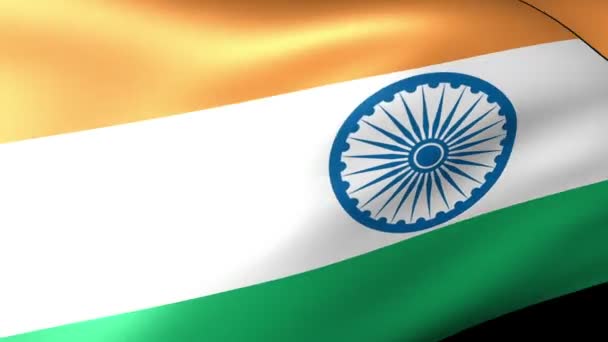 India vlag zwaaiend — Stockvideo