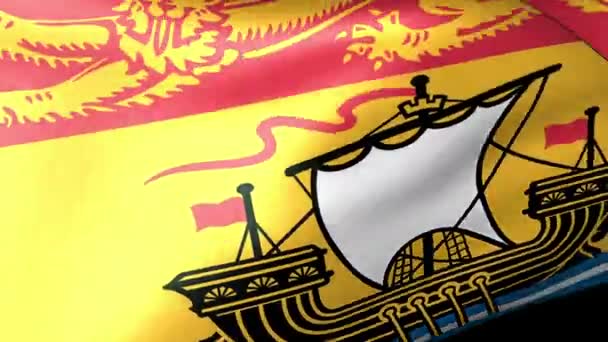 Νιού Μπρούνγουικ σημαία κυματίζει — Αρχείο Βίντεο