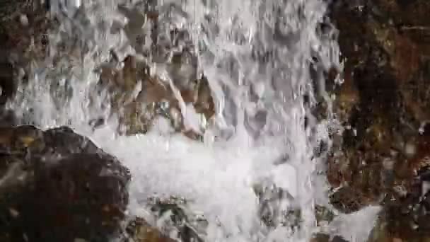 Liten skog cascade — Stockvideo